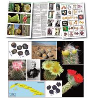 TAXONOMY of the CACTACEAE Vol. III–VI, Joël...