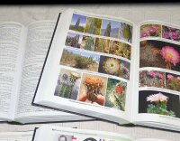 TAXONOMY of the CACTACEAE Vol. III–VI, Joël Lodé