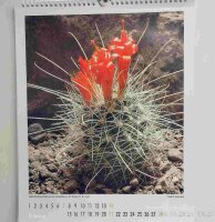 KuaS Kalender 2027