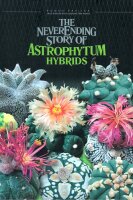 Astrophytum Hybrids - 1 Buch