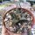 Ariocarpus trigonus v. horaceki CITES, not outside EU