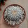Astrophytum asterias cv. Super Kabuto