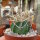 Astrophytum capricorne v. crassispinum