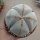 Astrophytum myriostigma cv. quadricostata