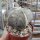 Astrophytum myriostigma v. potosina