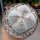 Astrophytum myriostigma cv. Onzuka quadricostata Ronde