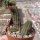Chamaecereus silvestrii-Hybr. Hessenland