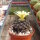 Copiapoa humilis