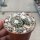 Copiapoa laui