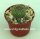 Copiapoa melanohystrix WK 810