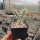 Cylindropuntia echinocarpa MUG 167 San Bernardino, Ca, USA, 1600 m (dw)