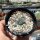 Echinocactus horizonthalonius Est. Menchaca, Coahuila, Mx.