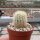 Echinocereus felixianus Municipio Cuatro Cienegas de Carranza, Höhe 1096 m NN