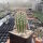 Echinocereus reichenbachii (dw)
