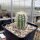 Echinocereus reichenbachii ssp. baileyi v. albispina (dw)