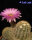 Echinocereus reichenbachii-Hybr (dw)