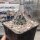 Echinocereus triglochidiatus v. gonacanthus LZ 770  (dw)