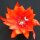 Epiphyllum-Hybr. Sun Flare Blüte orange-magenta