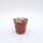 Epithelantha micromeris