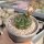 Gymnocalycium damsii v. torulosum VOS 3-040