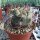 Gymnocalycium saglionis