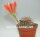 Lobivia arachnacantha v. densiseta WR 186