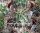 Lobivia ferox v. longispina FR 333