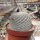 Mammillaria candida