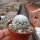 Mammillaria humboldtii
