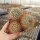 Mammillaria moelleriana