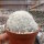 Mammillaria plumosa