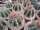 Melocactus bahiensis mit Cephalium
