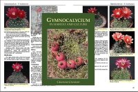 Gymnocalycium in Habitat and Culture Graham Charls - 1 Buch