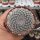 Notocactus erythracanthus Schl. 165