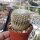Notocactus mueller-melchersii ssp. gutierrezii