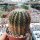 Notocactus orthacanthus LW 050