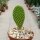 Opuntia microdasys