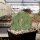 Opuntia phaeacantha v. pueblitos HK 1858  (dw)