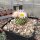 Pediocactus knowltonii CITES, not outside EU (dw)
