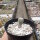 Pelecyphora aselliformis CITES, not outside EU