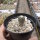 Pelecyphora strobiliformis CITES, not outside EU