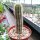 Pilosocereus aurisetus ssp. werdermannianus CM 007