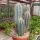 Pilosocereus pachycladus