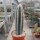 Pilosocereus palmeri