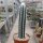 Pilosocereus palmeri
