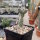 Pterocactus fischeri Buta Ranquil (dw)