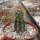 Pyrrhocactus spec. VOS 2497 gepfr.
