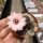 Rebutia eos L 541c