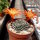Rebutia senilis v. breviseta