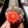 Rebutia senilis v. schieliana BK 005